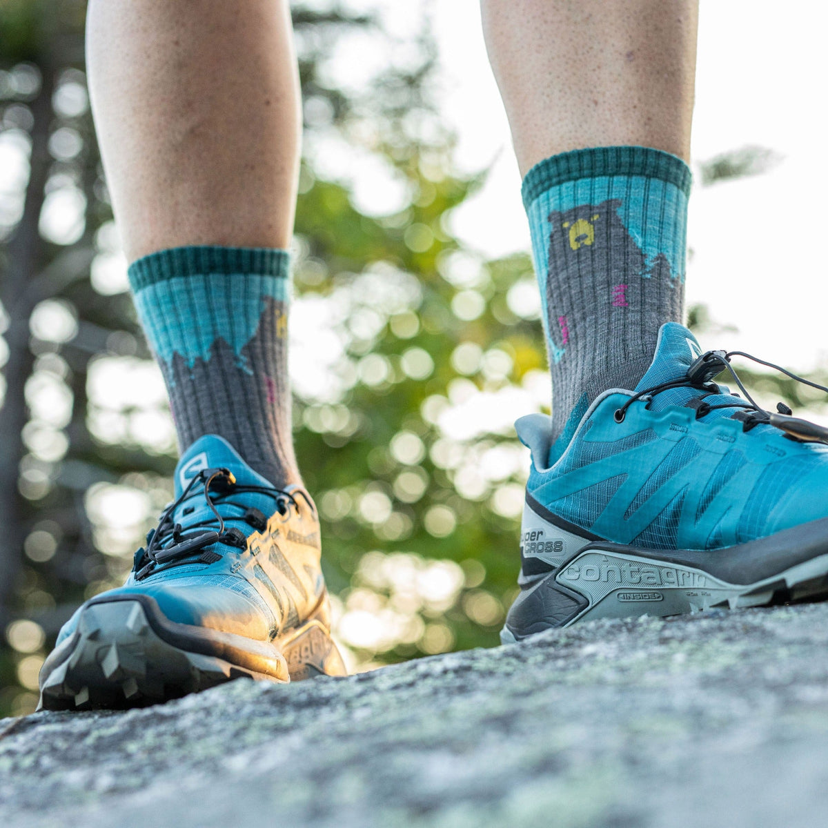 Darn Tough Vermont Men's and Women's Bear 2-Pack Hiking Socks