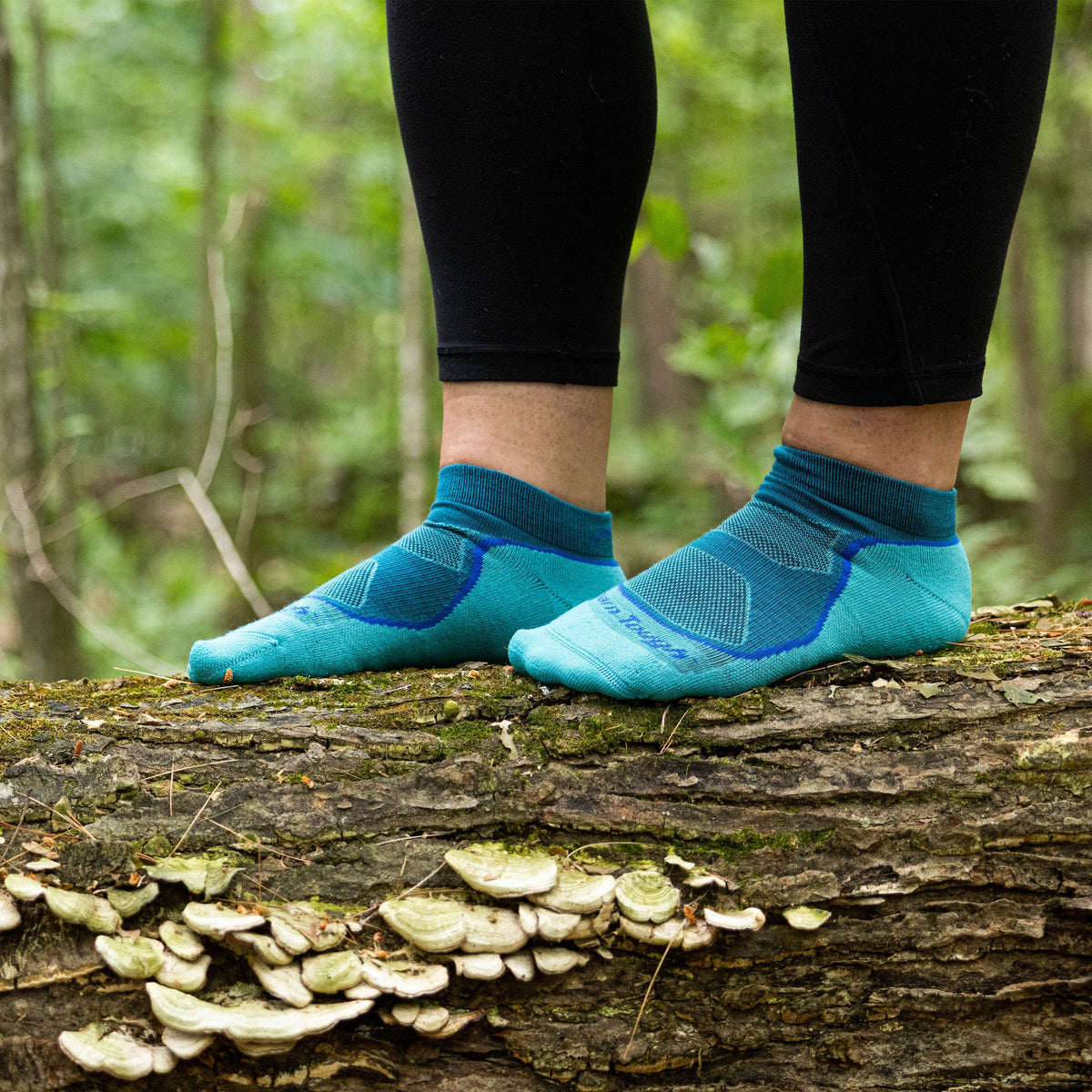 Darn Tough Vermont Women's Hiker Low-Profile 3-Pack