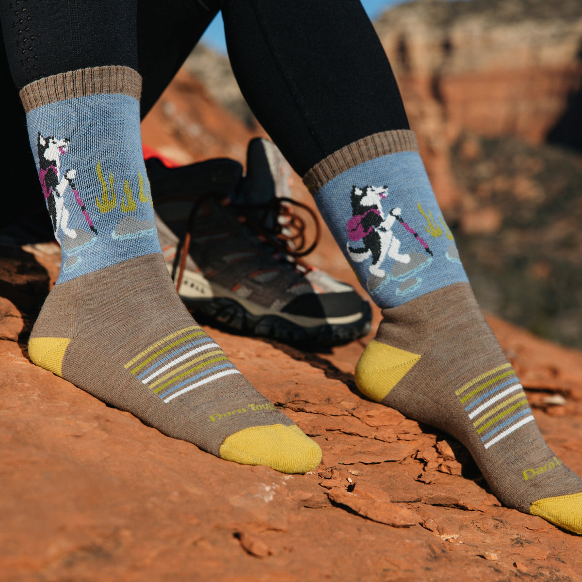 Darn Tough Vermont Women's Critter Club Micro Crew Lightweight Hiking Socks
