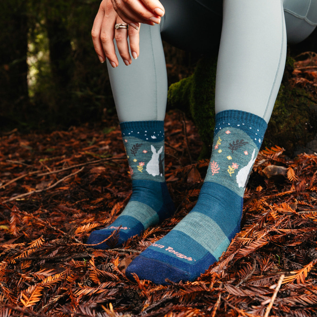 Darn Tough Vermont Women's Critter Club 2-Pack Hiking Socks