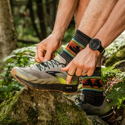 Darn Tough Vermont Men's Willoughby Micro Crew Lightweight Hiking Socks