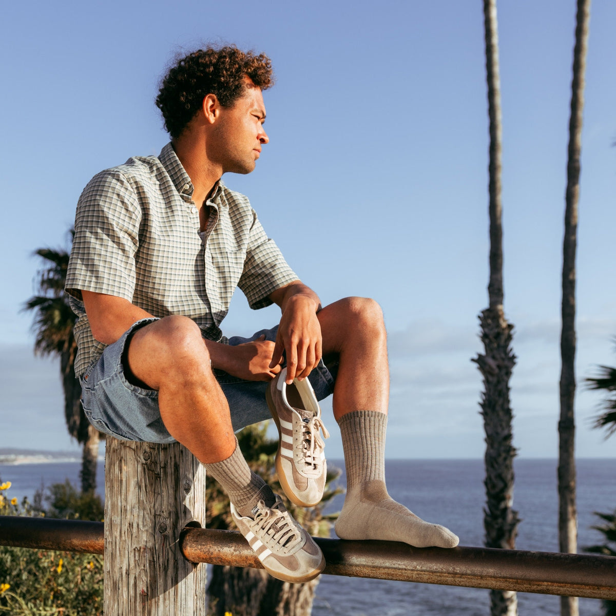 Darn Tough Vermont Men's The Standard Crew Cushioned Lightweight Lifestyle Socks