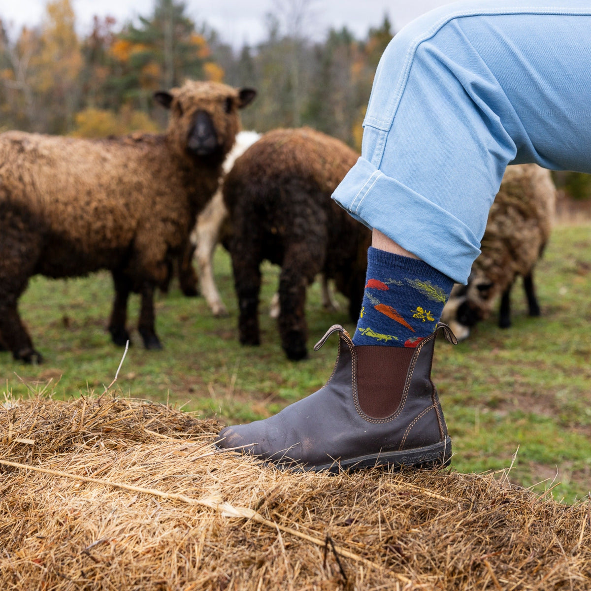 Darn Tough Vermont Women's Lightweight Lifestyle 2-Pack