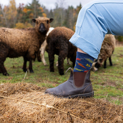 Darn Tough Vermont Women's Lightweight Lifestyle 2-Pack