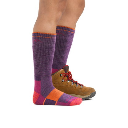Darn Tough Vermont Women's Hiker Boot Full Cushion Midweight Hiking Socks