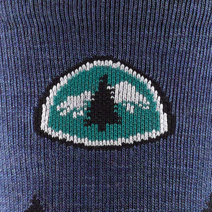 Darn Tough Vermont PCT Micro Crew Lightweight Hiking Socks