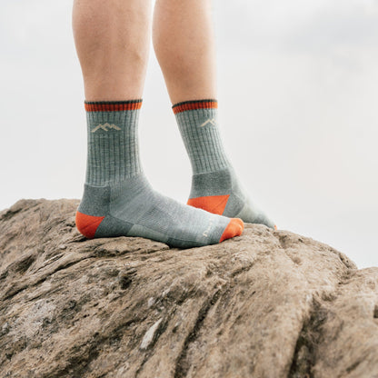 Darn Tough Vermont Unisex Limited Edition Hiker Micro Crew Midweight Hiking Sock