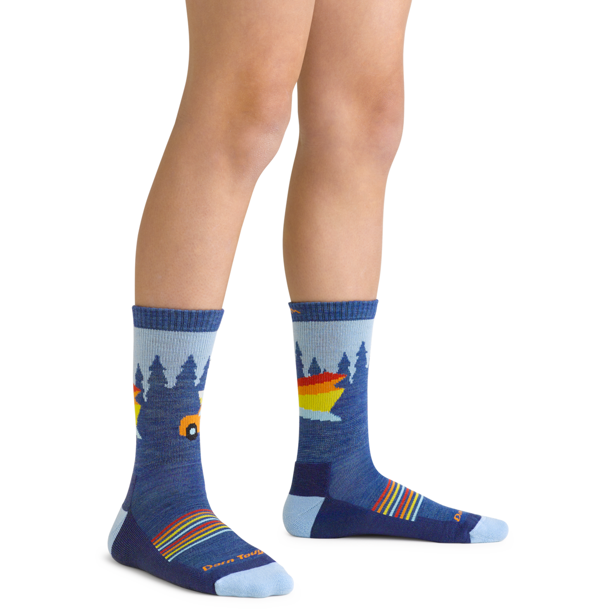 Darn Tough Vermont Kids Van Wild Micro Crew Lightweight Hiking Socks