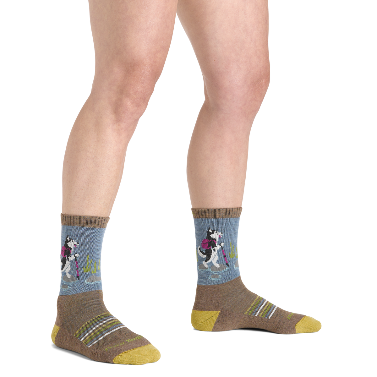 Darn Tough Vermont Women's Critter Club Micro Crew Lightweight Hiking Socks