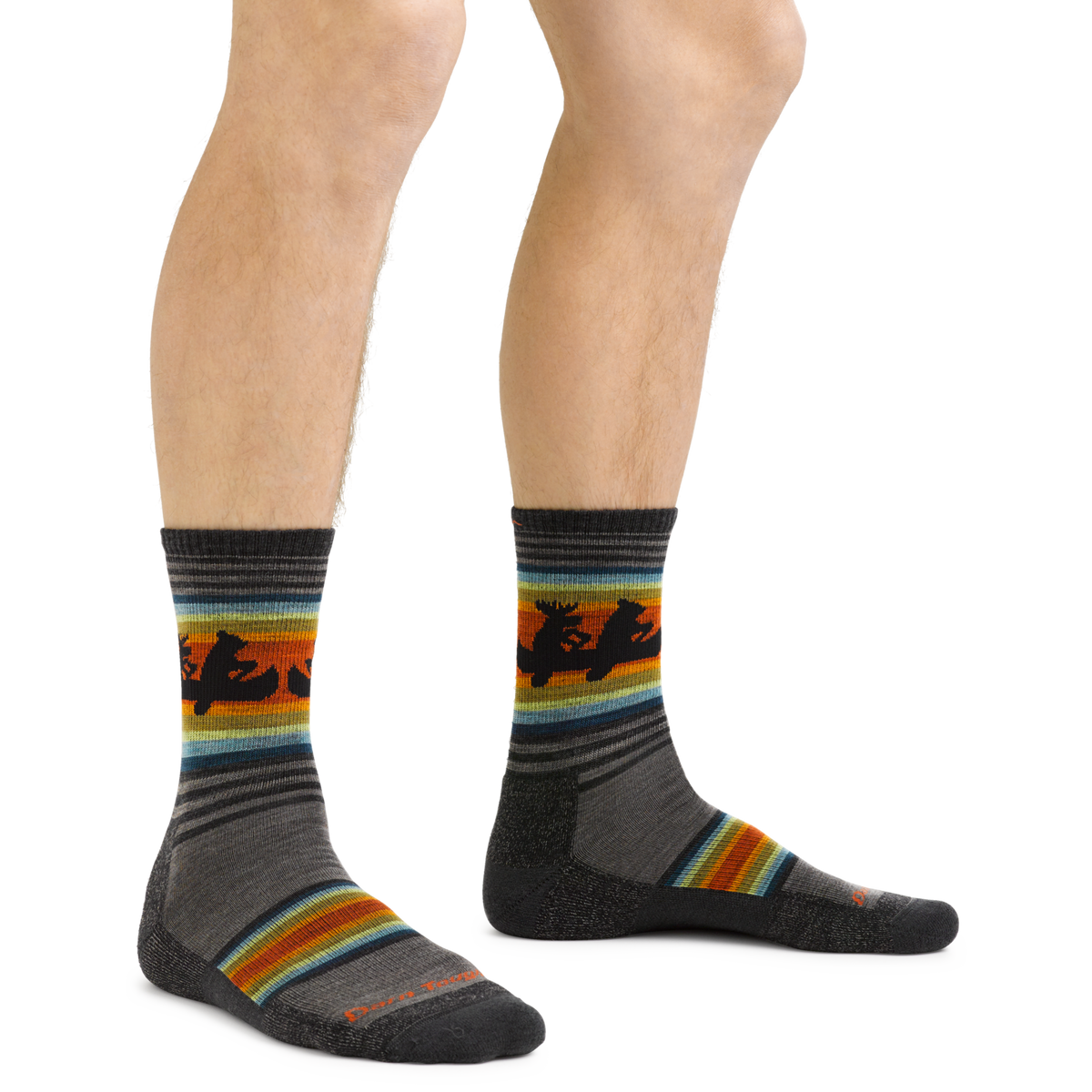 Darn Tough Vermont Men's Willoughby Micro Crew Lightweight Hiking Socks