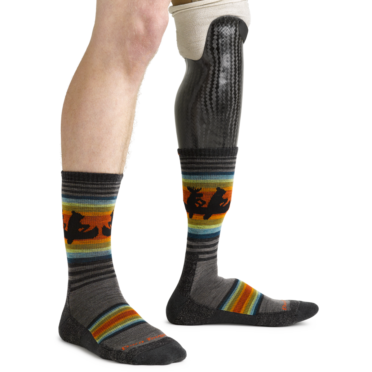 Darn Tough Vermont Men's Willoughby Micro Crew Lightweight Hiking Socks