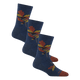 Oak Denim