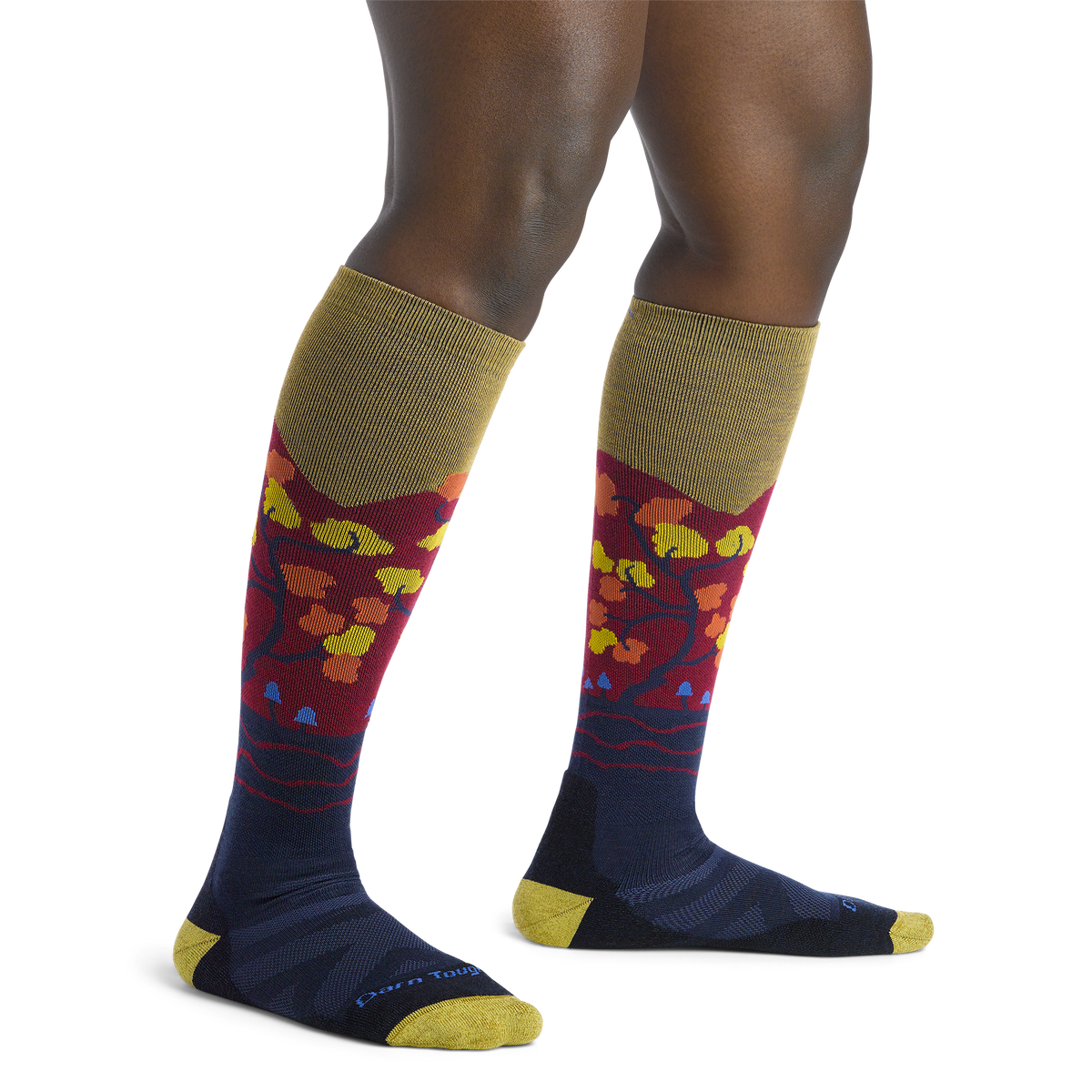 Darn Tough Vermont Women's Enchanted Over-the-Calf Midweight Ski & Snowboard Socks- Last Chance