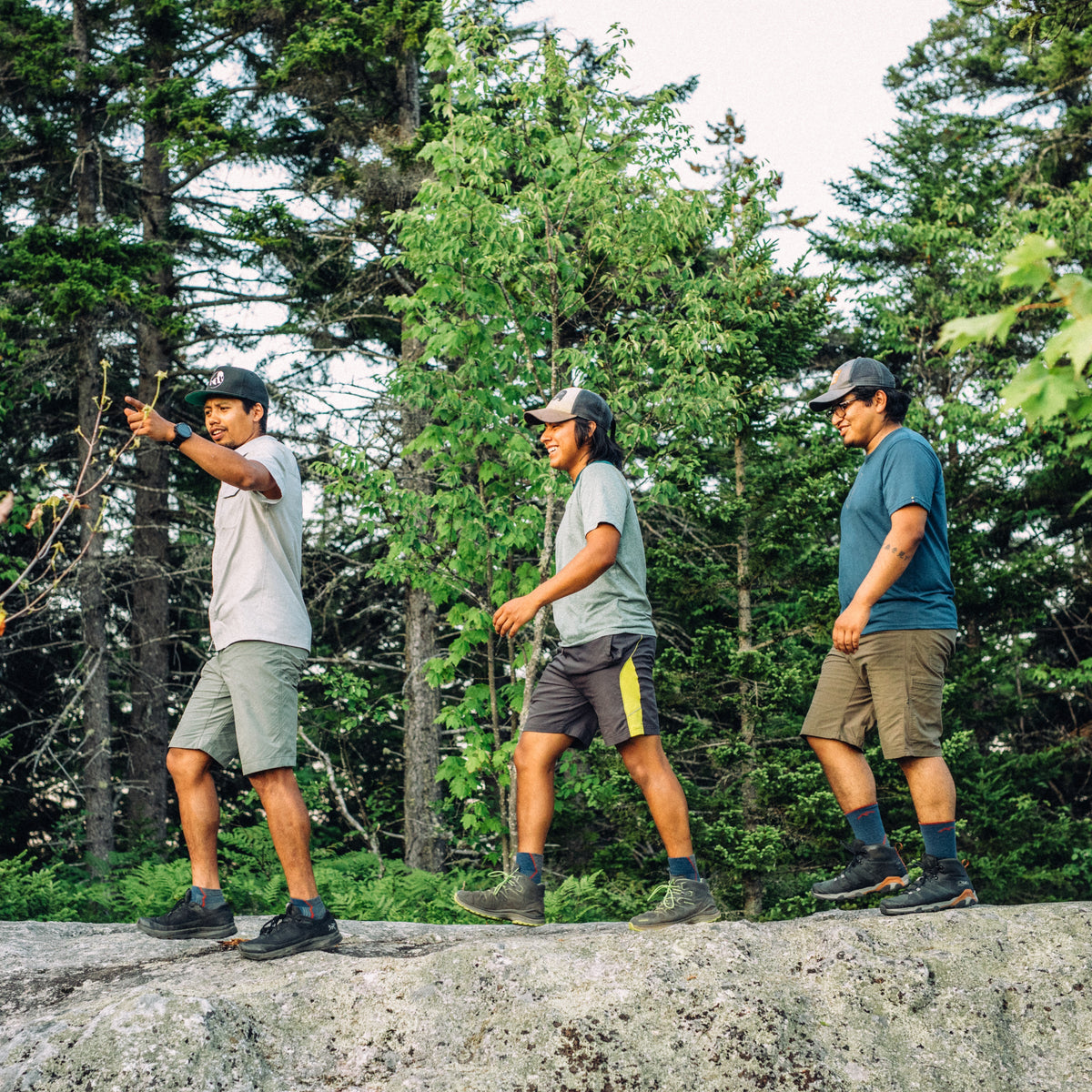 Darn Tough Vermont Men's Light Hiker No Show Lightweight Hiking Socks