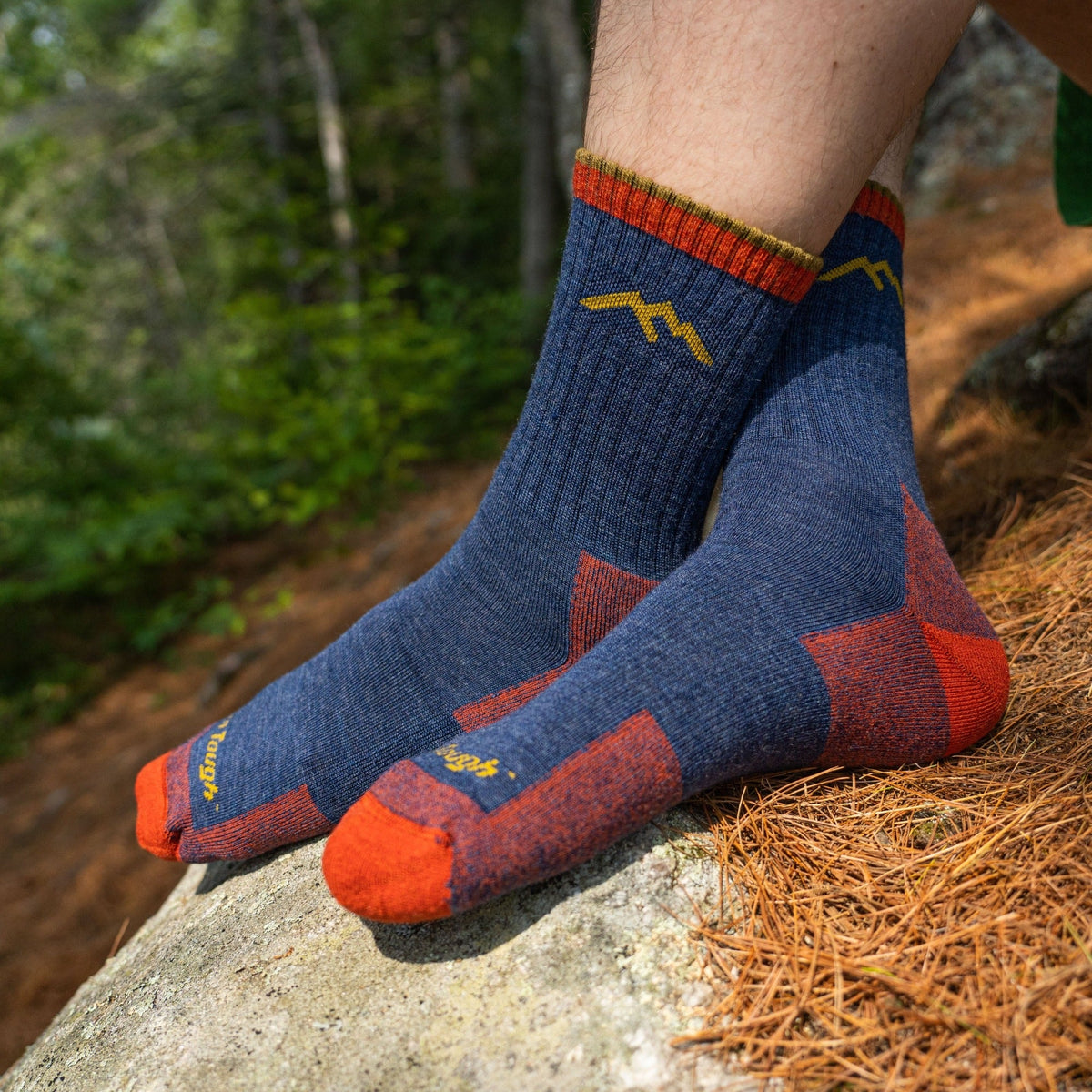 Darn Tough Vermont Men's and Women's Hiker Micro Crew 2-Pack Hiking Socks