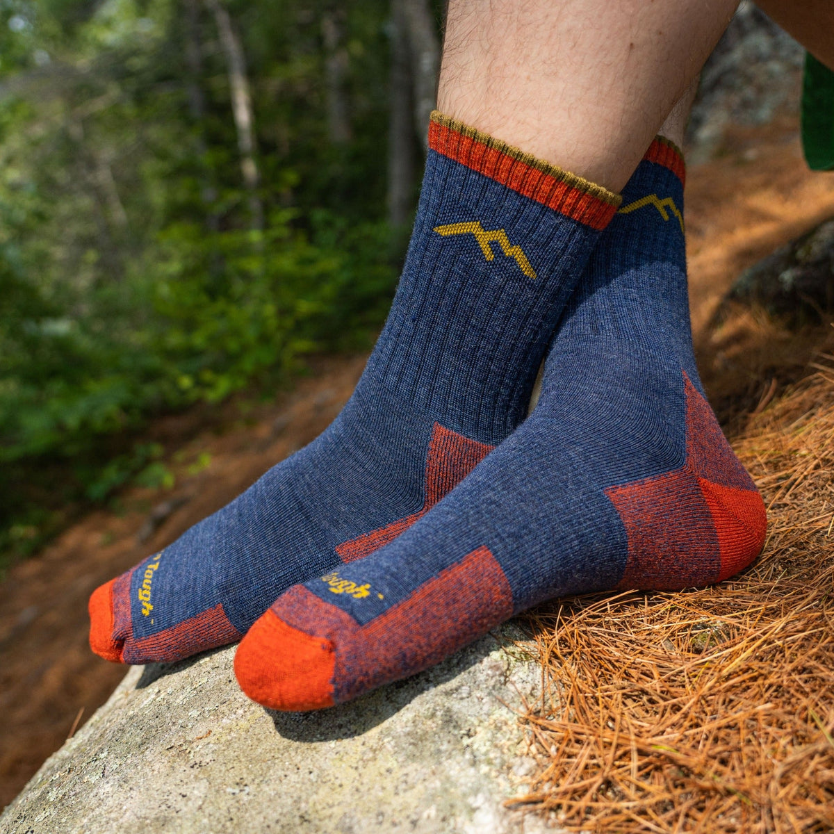 Darn Tough Vermont Men's Hiker Micro Crew 3-Pack