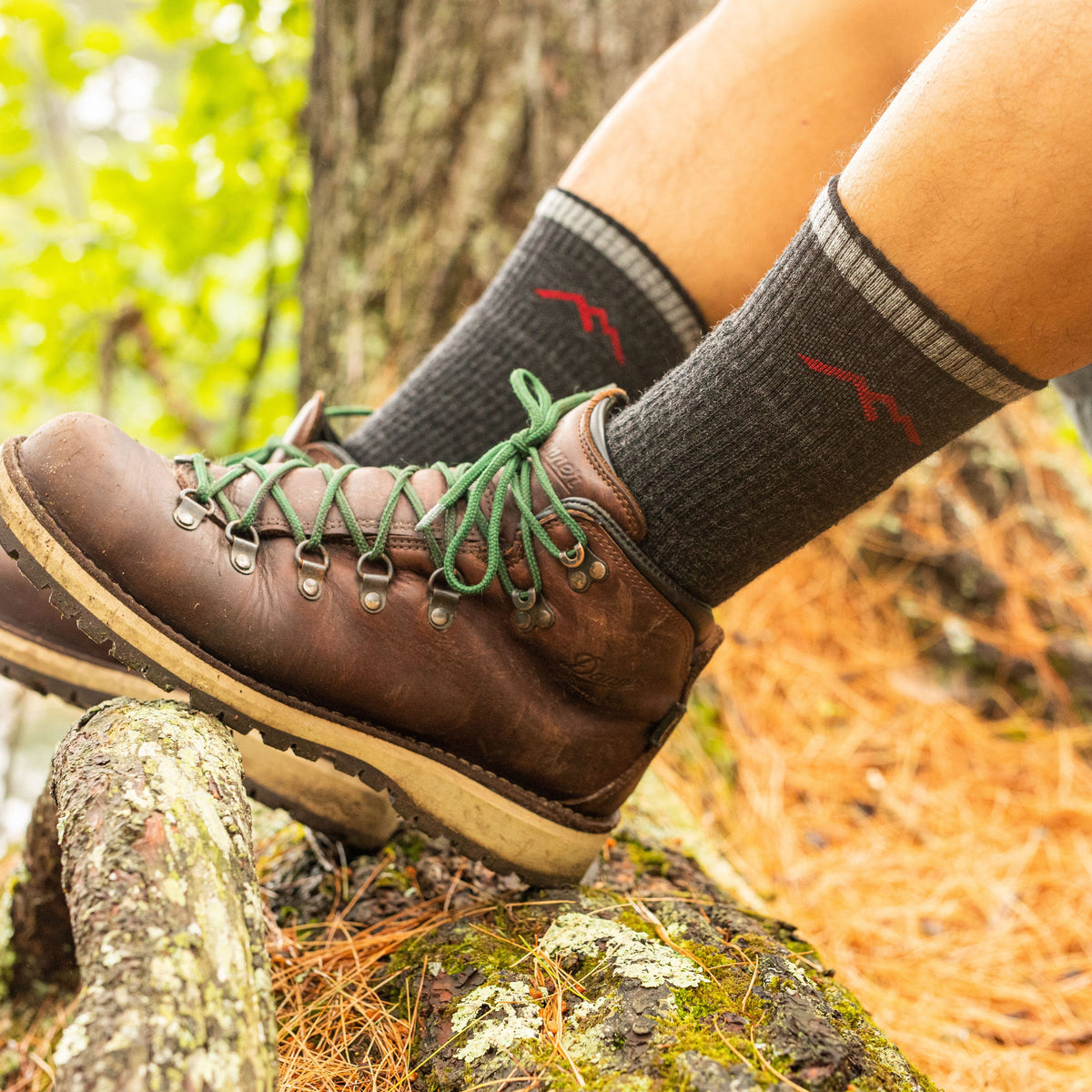 Darn Tough Vermont Men's Hiker Boot Midweight Hiking Socks