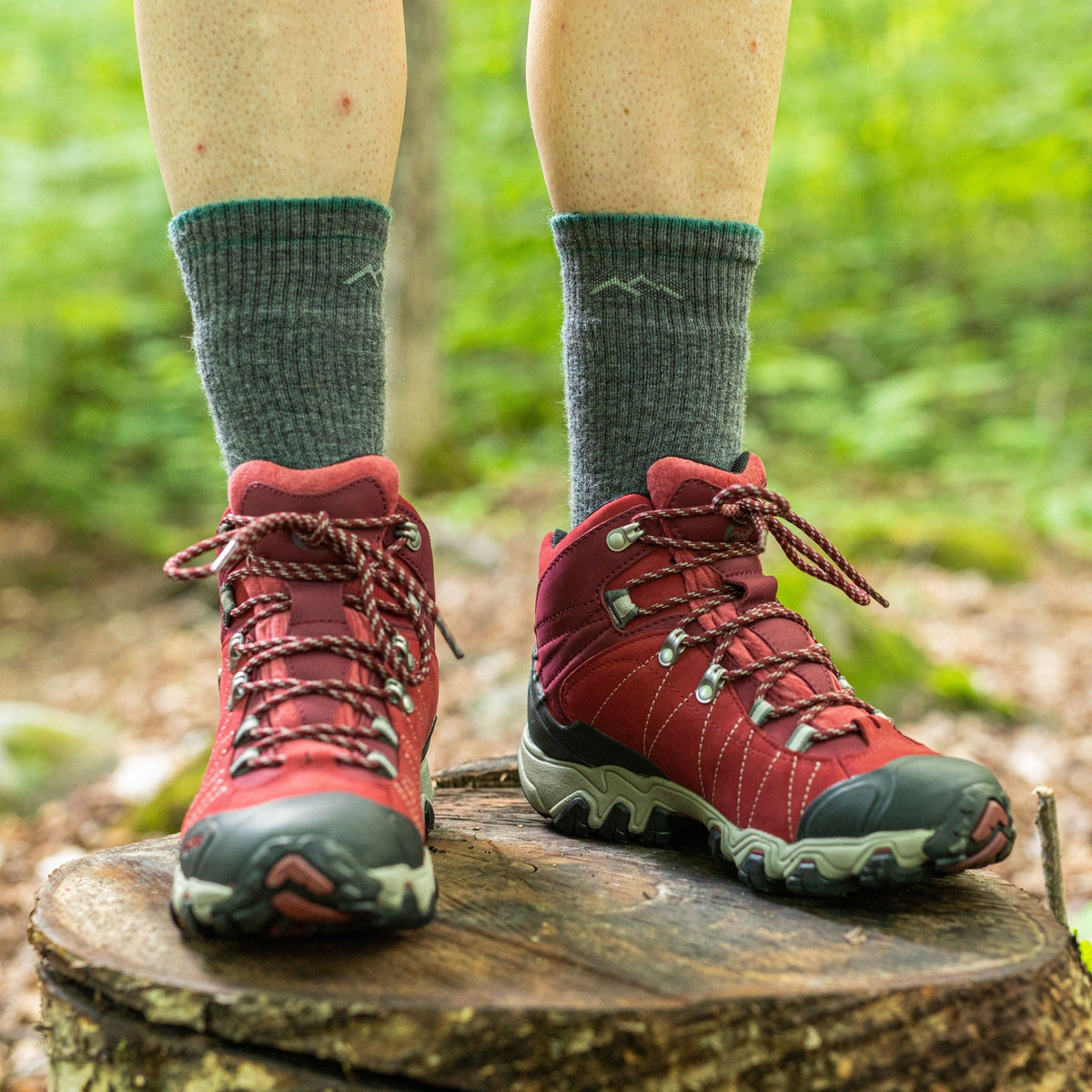 Darn Tough Vermont Men's and Women's Hiker Boot Sock 2-Pack Hiking Socks
